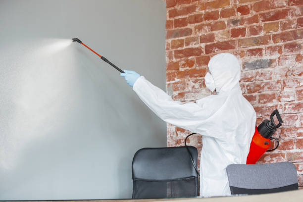 Best Mold Documentation for Insurance Claims  in Bel Air North, MD