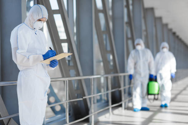 Mold Odor Removal Services in Bel Air North, MD