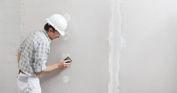 Best Industrial Mold Remediation  in Bel Air North, MD