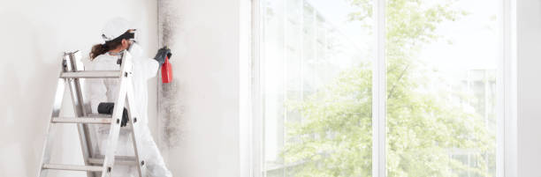 Best HVAC Mold Inspection and Cleaning  in Bel Air North, MD