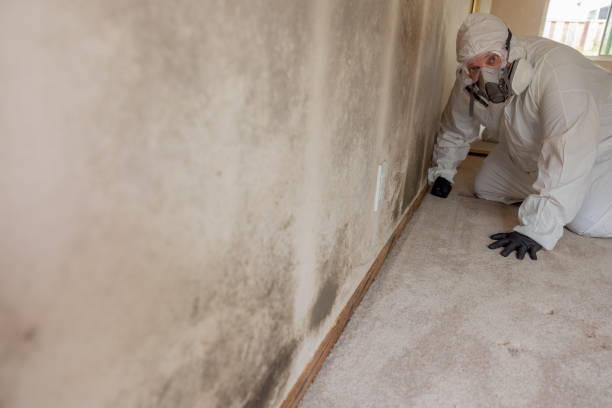 Best Post-Remediation Verification Testing  in Bel Air North, MD
