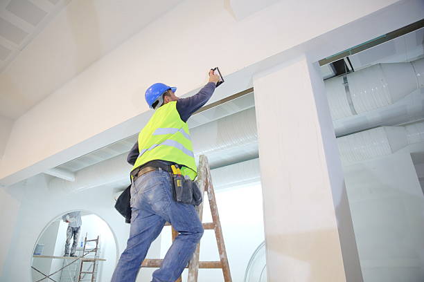 Best Asbestos and Lead Testing During Mold Inspection  in Bel Air North, MD